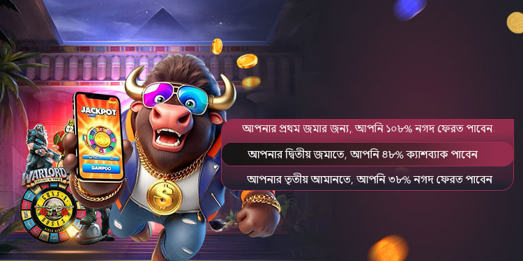 The Curious World of 66zz A Deep Dive