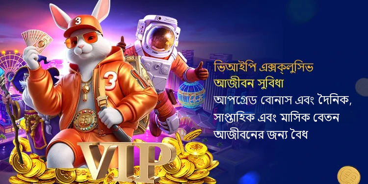 The Curious World of 66zz A Deep Dive