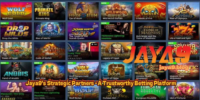 High Stakes Fun Exploring Slot Games for High Rollers
