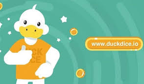 The Rise of Dogecoin Casinos A New Era in Online Gaming The Rise of Dogecoin Casinos A New Era in Online Gaming