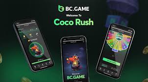 Discover the Exciting World of Casino BCStavka 1717364503