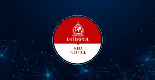Understanding the Role of Interpol Lawyers in International Law 1328474723