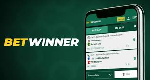 Comprehensive Guide to BetWinner CI Registration Process