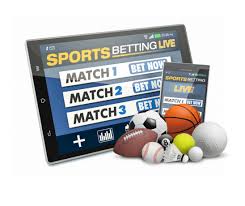 Betwinner  Une plateforme de paris en ligne qui séduit les parieurs